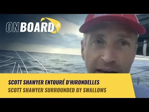 Scott Shawyer entouré d'hirondelles | New York Vendée 2024